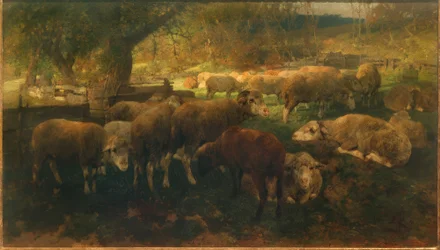 Lampaat puiden alla