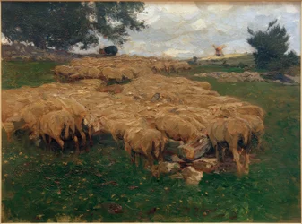 Lammaslauma karkealla albilla