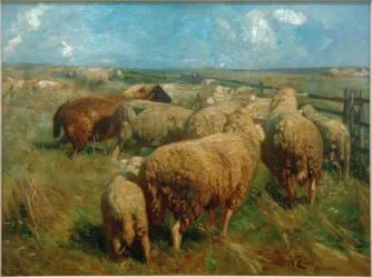Lammaslauma juhannuksena