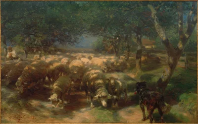 Lammaslauma koiran kanssa