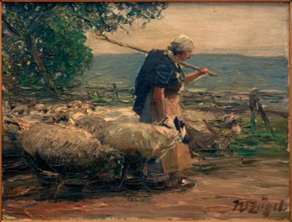 Paimentar lauman kanssa