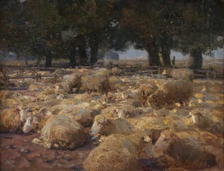 Lammaspuisto (nummisuo)