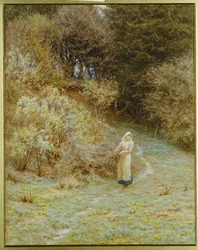 Primrose Woodissa