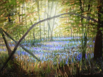 Bluebell Glade, 2024 (öljyä kankaalle)