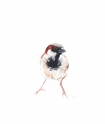 Uros Sparrow I, 2022