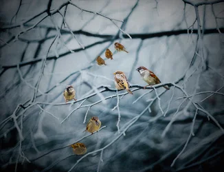 Täynnä elämää, 2019