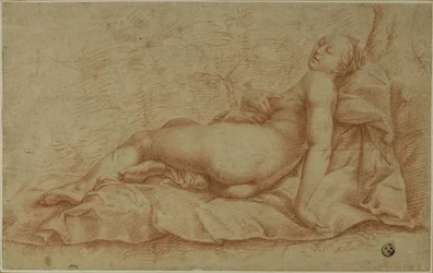 Makaava Venus