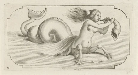 Naishahmo puhaltaa kuoreen Nouveau Livre des Dieux et Deeßes De la Marine Bouckje of Sea Gods and Goddess (sarjan nimi)