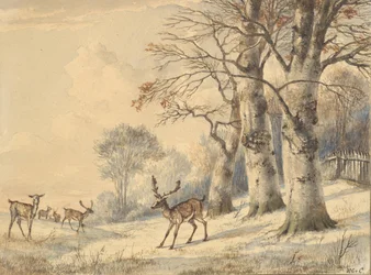 Peuroja pyökkipuiden alla kesällä 1853.