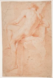 Miesmallityöskentely, istuva, takaa katsottuna