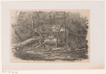 Puu kaadettiin Buitenlustissa 28. toukokuuta 1860 myrskyn jälkeen Buitenlust (otsikko esineessä) Albumi kymmenestä litografoidusta luonnoksesta, jotka kuvaavat Tooneelen of the Destruction, 28. toukokuuta 1860 myrskyn kiihottamana Gravenhaagsche Boschissa,