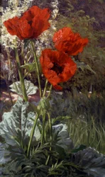 Unikot. Henri Bivan (1848-1928) maalaus Yksityiskokoelma.