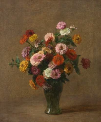 Zinniat