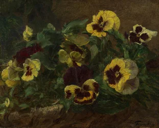 Orvokit, 1903.