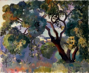 "Maisema Saint-Tropezissa", 1905.
