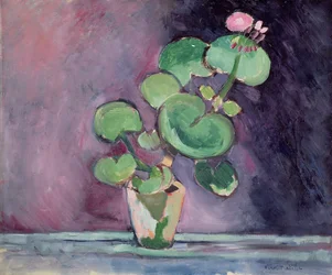 Geranium ruukussa (öljy kankaalle)