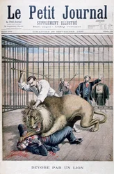 Leijonan hyökkäys, 1895