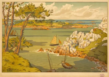 Saari