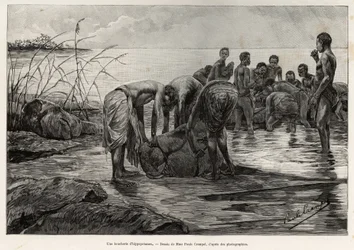 Virtahepo lihakauppa Keski-Afrikan joen rannalla. Henri Thiriatin kaiverrus havainnollistamaan Albert Neboutin (1862-1939) tarinaa "La mission Crampel", vuonna 1890 Le tour du Mondessa 1892, ohjaajana Edouard Charton (1807-1891), Hachette, Pa.