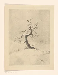 Lonely Tree (alkuperäinen nimi esineessä)