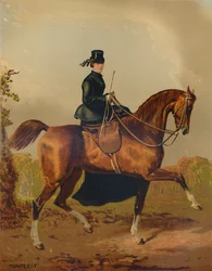 "A Ladies Horse - Earl of Pembroken omaisuus", 1840-luku, 1879.