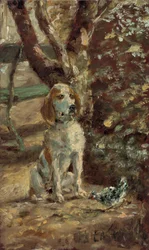 Taiteilijan koira Flèche, n. 1881.