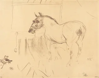 Calmesen pieni poni