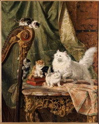 Musiikillinen välisoitto, 1897