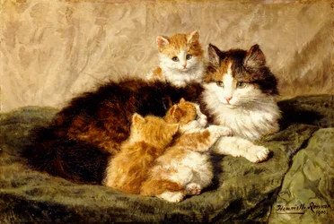 Tyytyväisyys, 1900