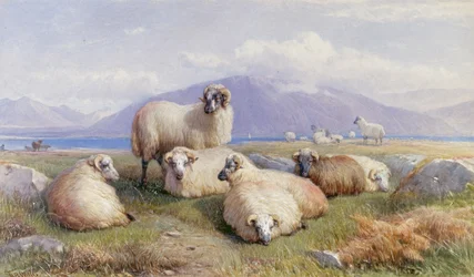 Ylämaan sydämessä