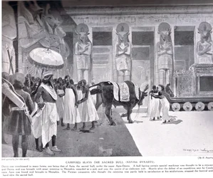 Cambyses surmaa pyhän härän, kuva Hutchinsons History of the Nations -teoksesta, n. 1910