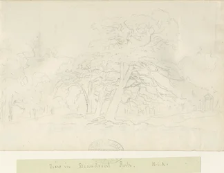 Beaudesert Park: lyijykynäpiirros, nd [1788-1855]