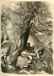 Luonnonsillan yläpuolella, 1872.