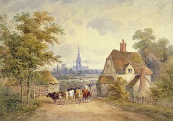 Chichesterin katedraali, Sussex