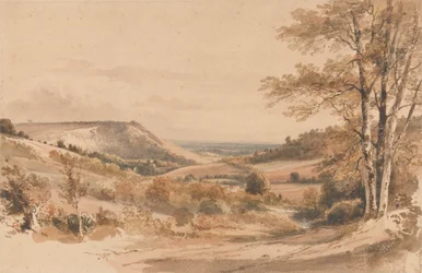 Boxhill Westhumble Lanelta