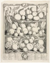 Kaksitoista hedelmäkuukautta: elokuu 1732.