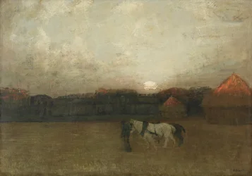 Karsinapelto, noin 1909 (öljy kankaalle)