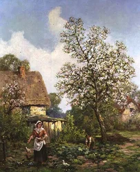 Kanojen ruokinta