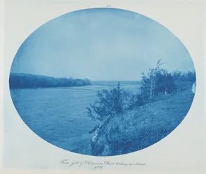 Robinson