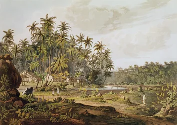 Näkymä lähellä Point du Gallea, Ceylon, kaivertanut Daniel Havell (1785-1826), julkaistu vuonna 1809