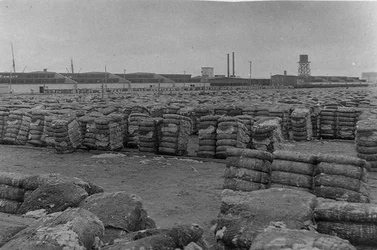 Moody Compress, Galveston (m/w kuva)