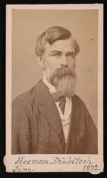Herman Henry Diebitschin muotokuva 1818-1883, 1871.