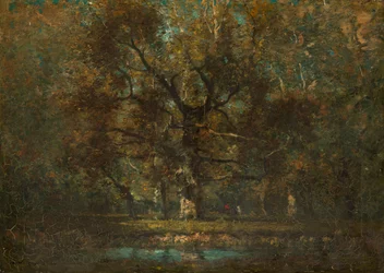 Oak Tree, 1895.