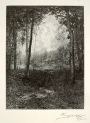 Adirondacksissa