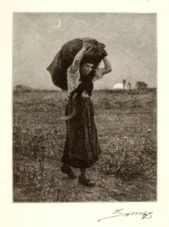 Le Soir