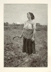 Kuikan laulu