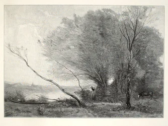 The Bent Tree