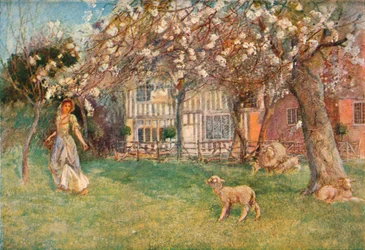 "Lambs", c1904