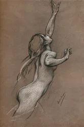 Tutkielma lentokalasta, noin 1910