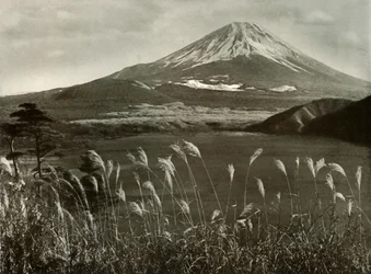 Fuji ja Kaia Grass, 1910.